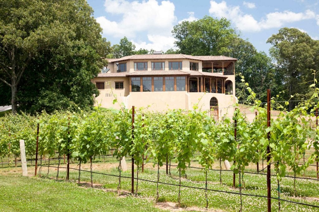 A view of the montaluce vineyard, looking through the beginnings of grape trees.