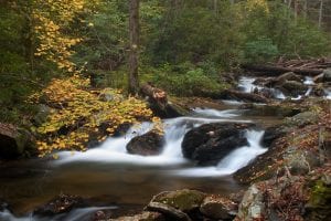 A photograph of water running over rocks in Smith Creek with beautiful trees with fall leaves in the background